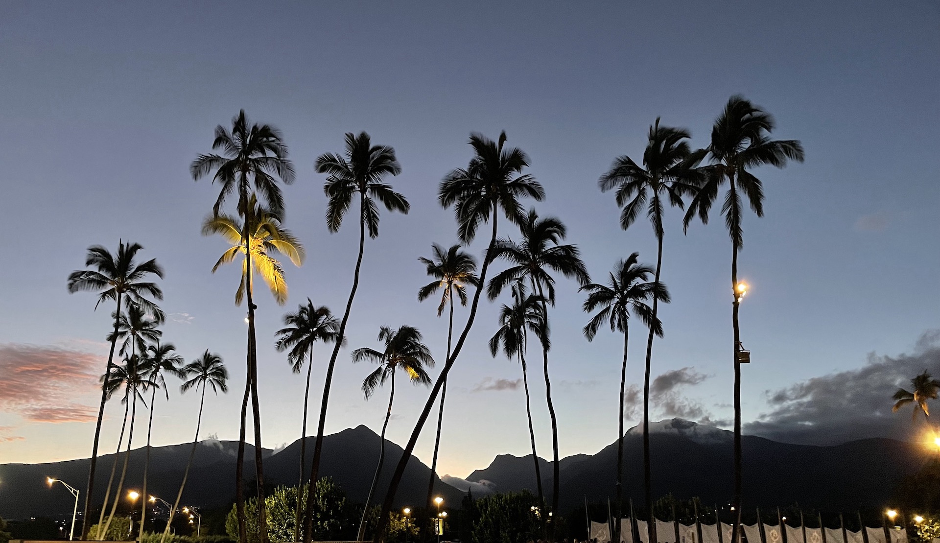 Sunset palm trees and West Maui Mountain views at the Arts & Cultural Center